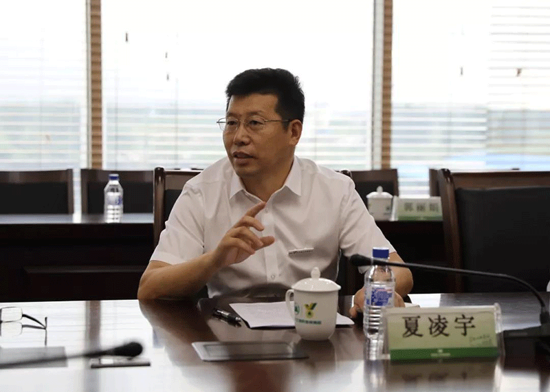 La délégation malaisienne de la 12e exposition du nord-est de la Chine a rendu visite au Jinqiao Flooring Group