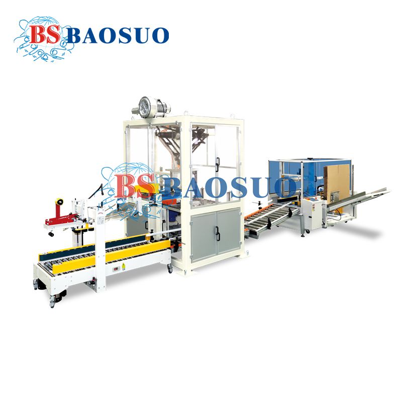 CP15B Case Packing Machine For E-Commerce