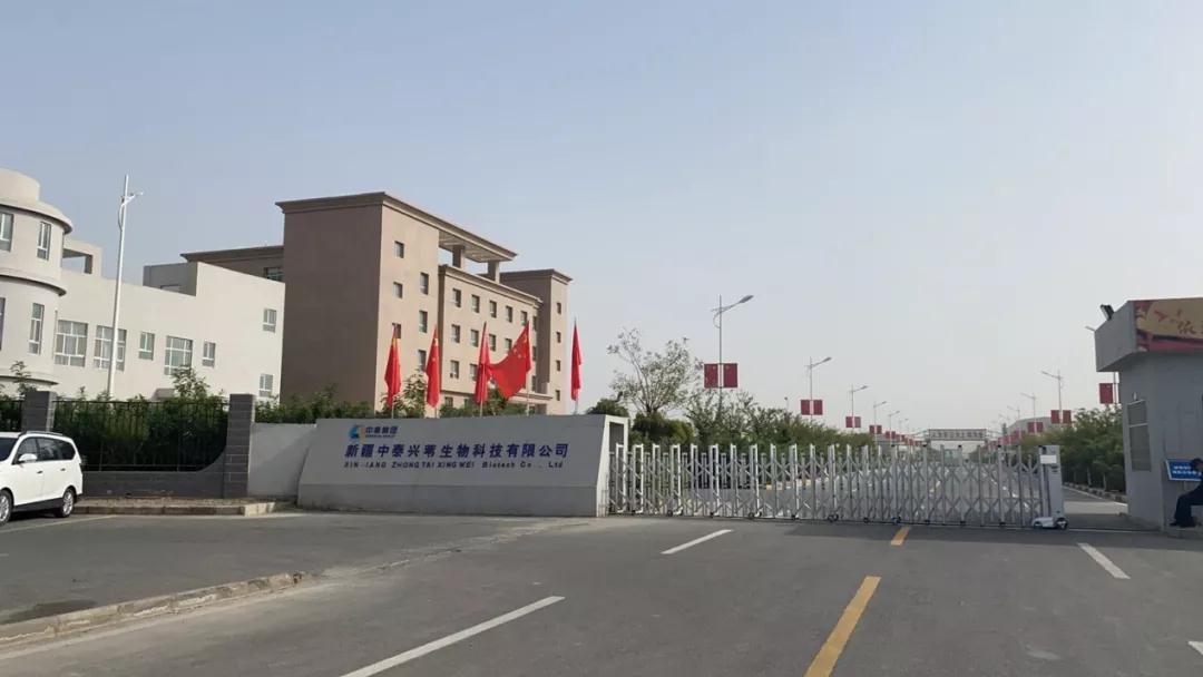 Baotuo Paper Machine Won The Bid in Xinjiang Zhongtai Xingwei Household Paper Project