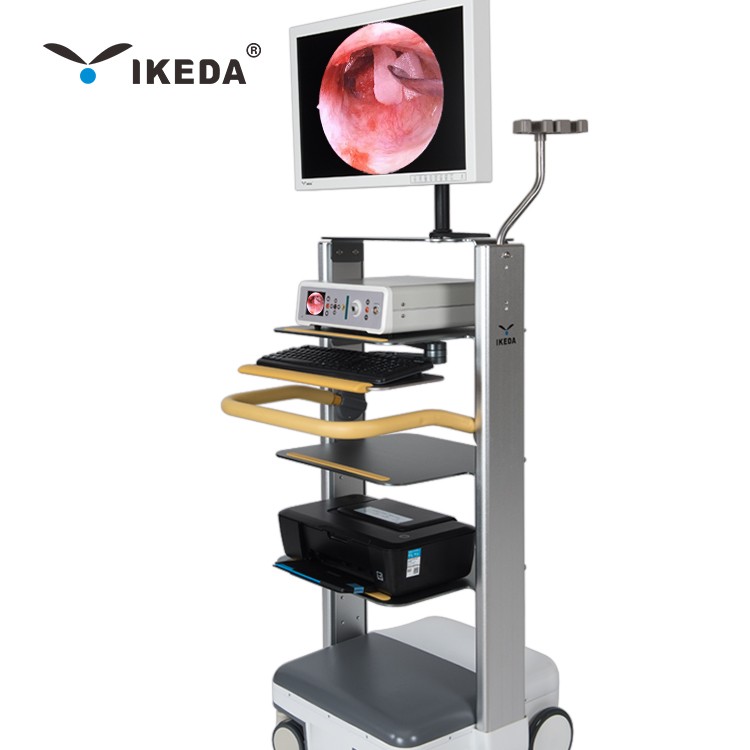 Full HD Endoscopy Camera Endoscope imaging system