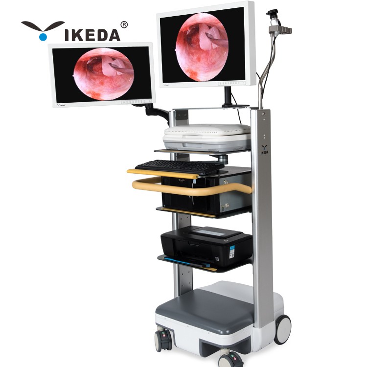 All-in-one 1080p Endoscope Camera System