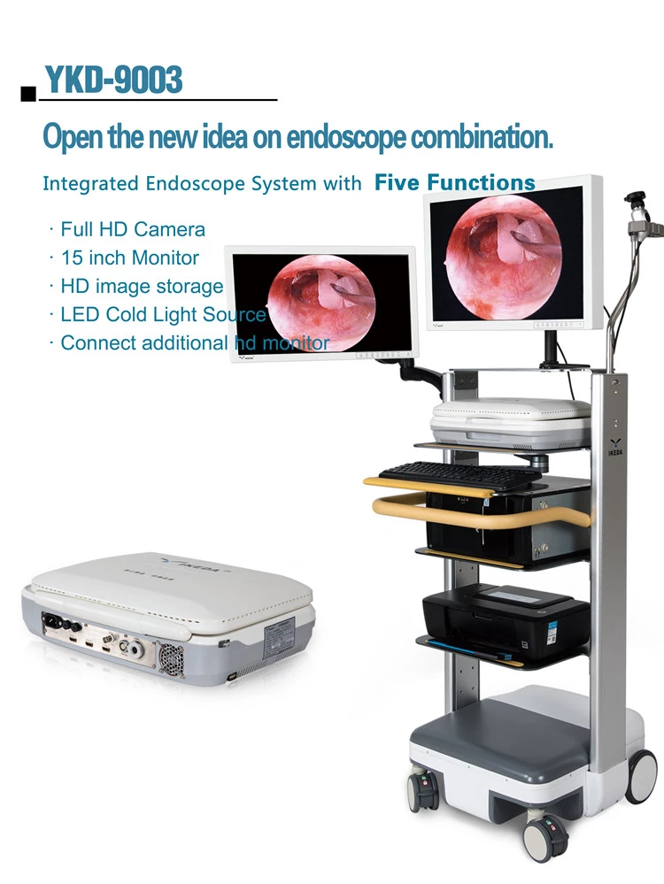 caméra d'endoscope portable