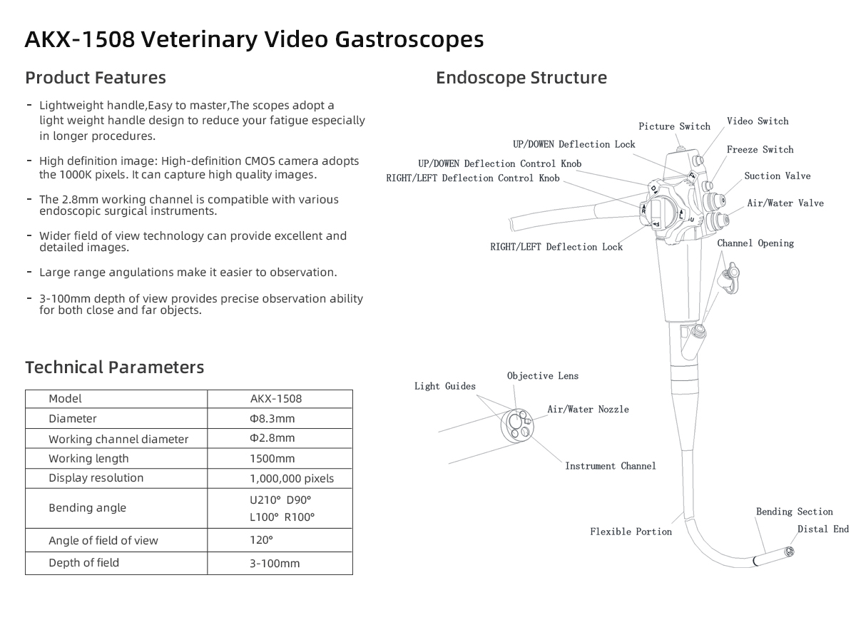 Video Gastroscopes