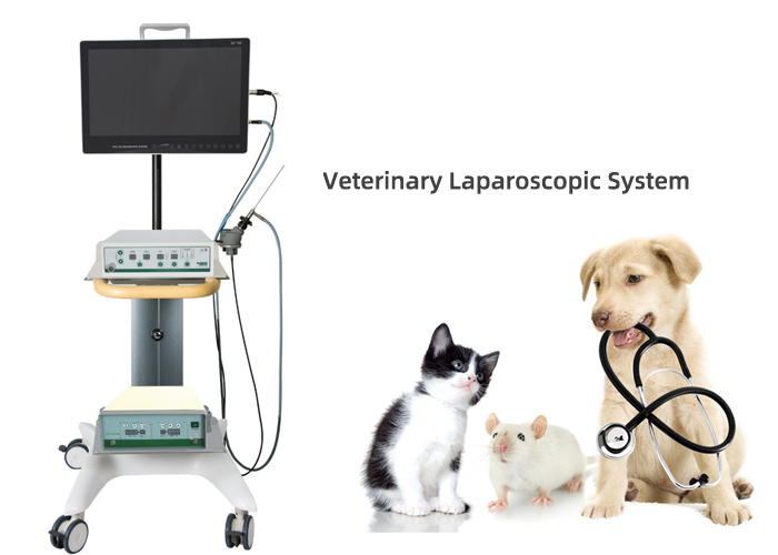 Veterinary Laparoscopy System