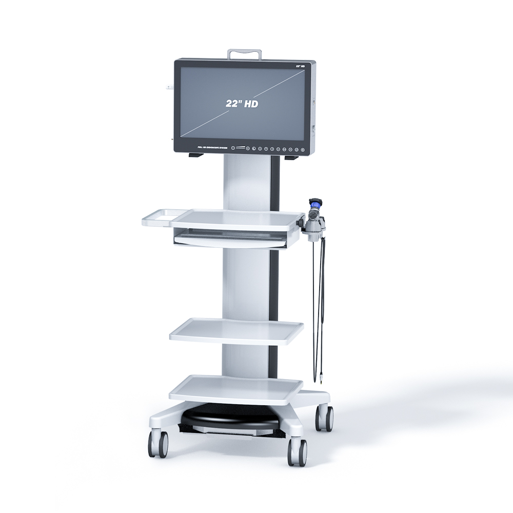 Acheter Système d'endoscopie d'arthroscopie portable médical 22