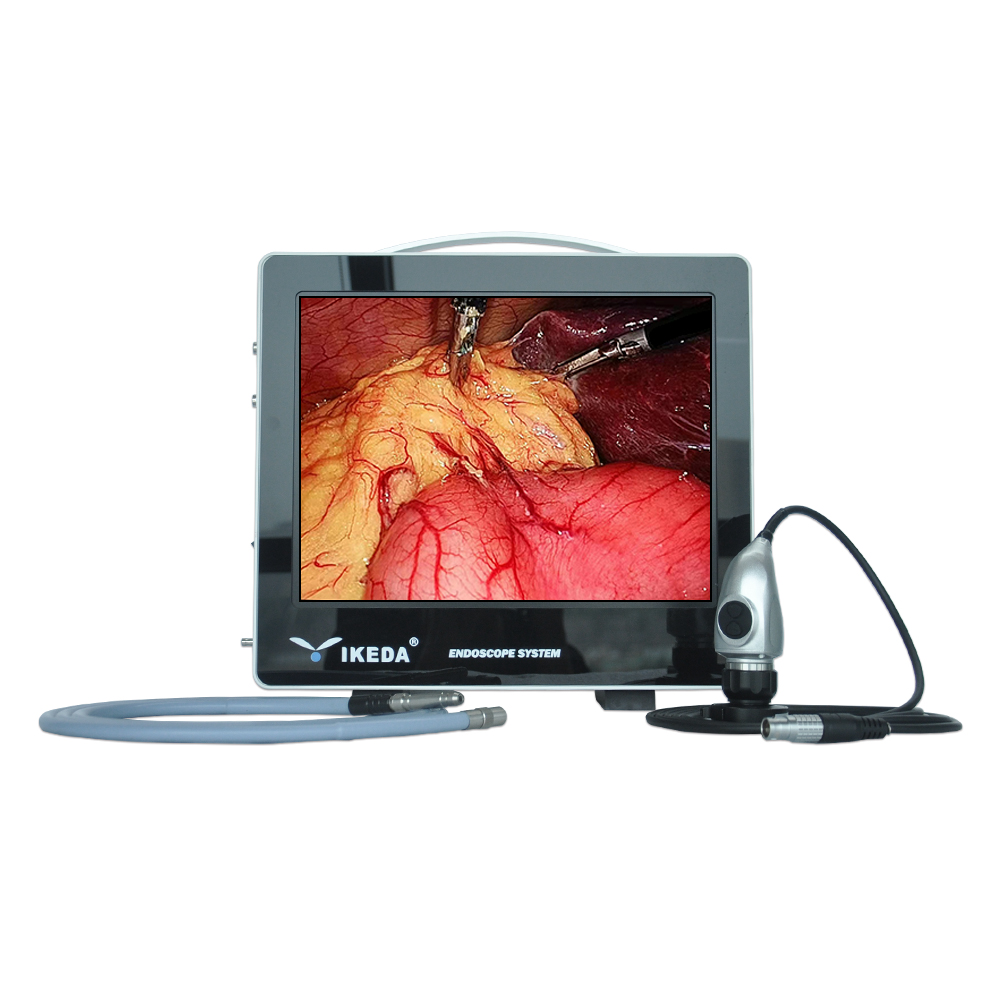 Tragbares All-in-One-Endoskop-Kamerasystem 15″
