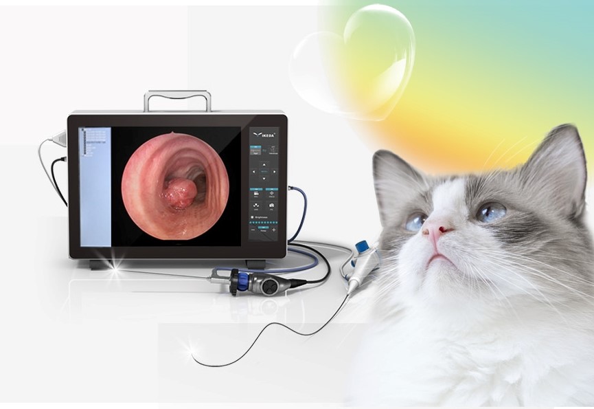 Veterinary Endoscopy