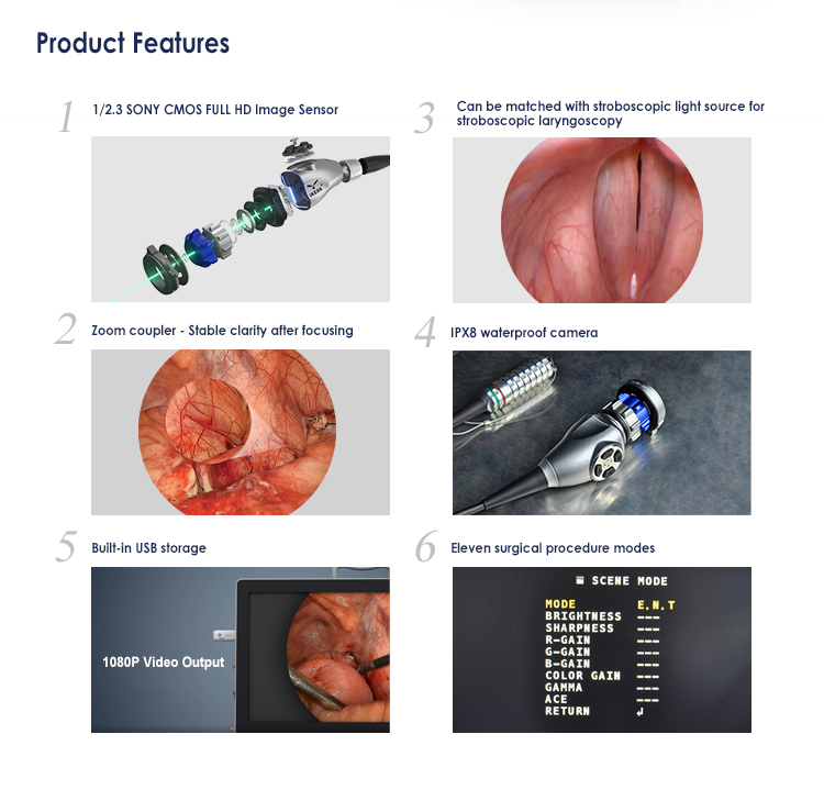 endoscope system