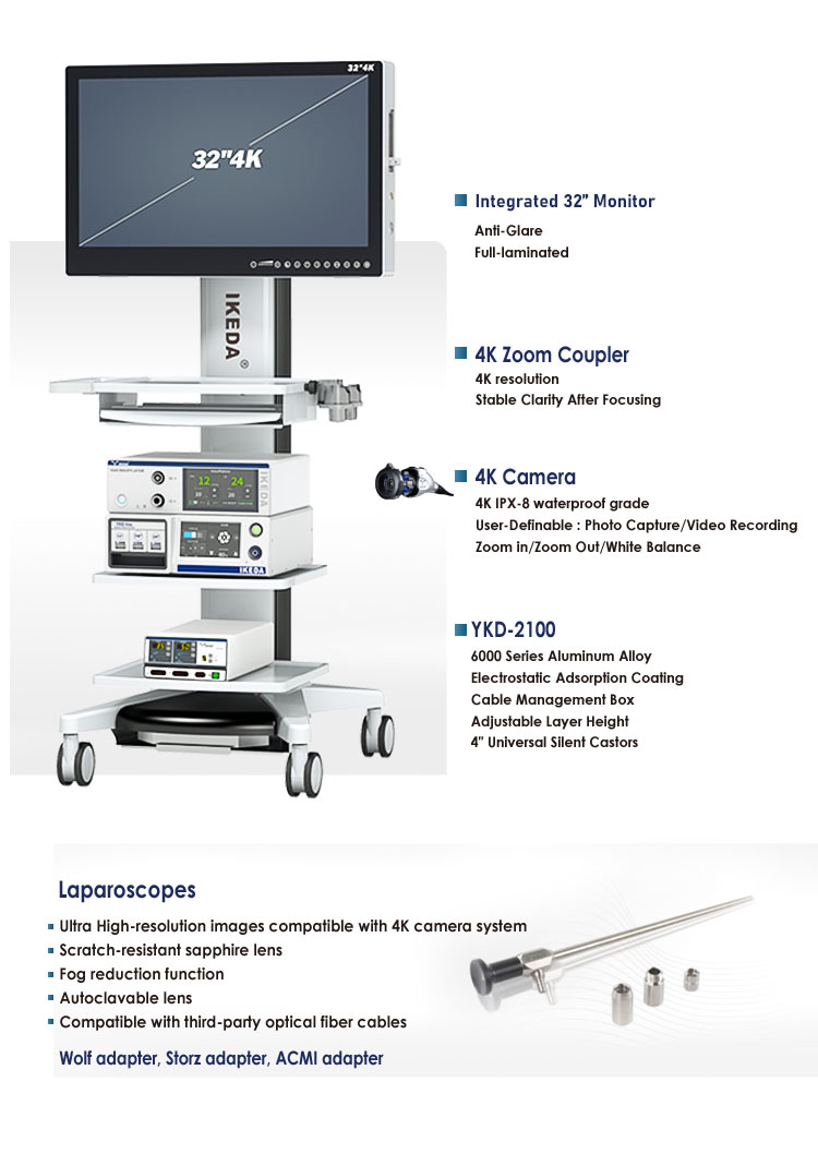 Endoscopy