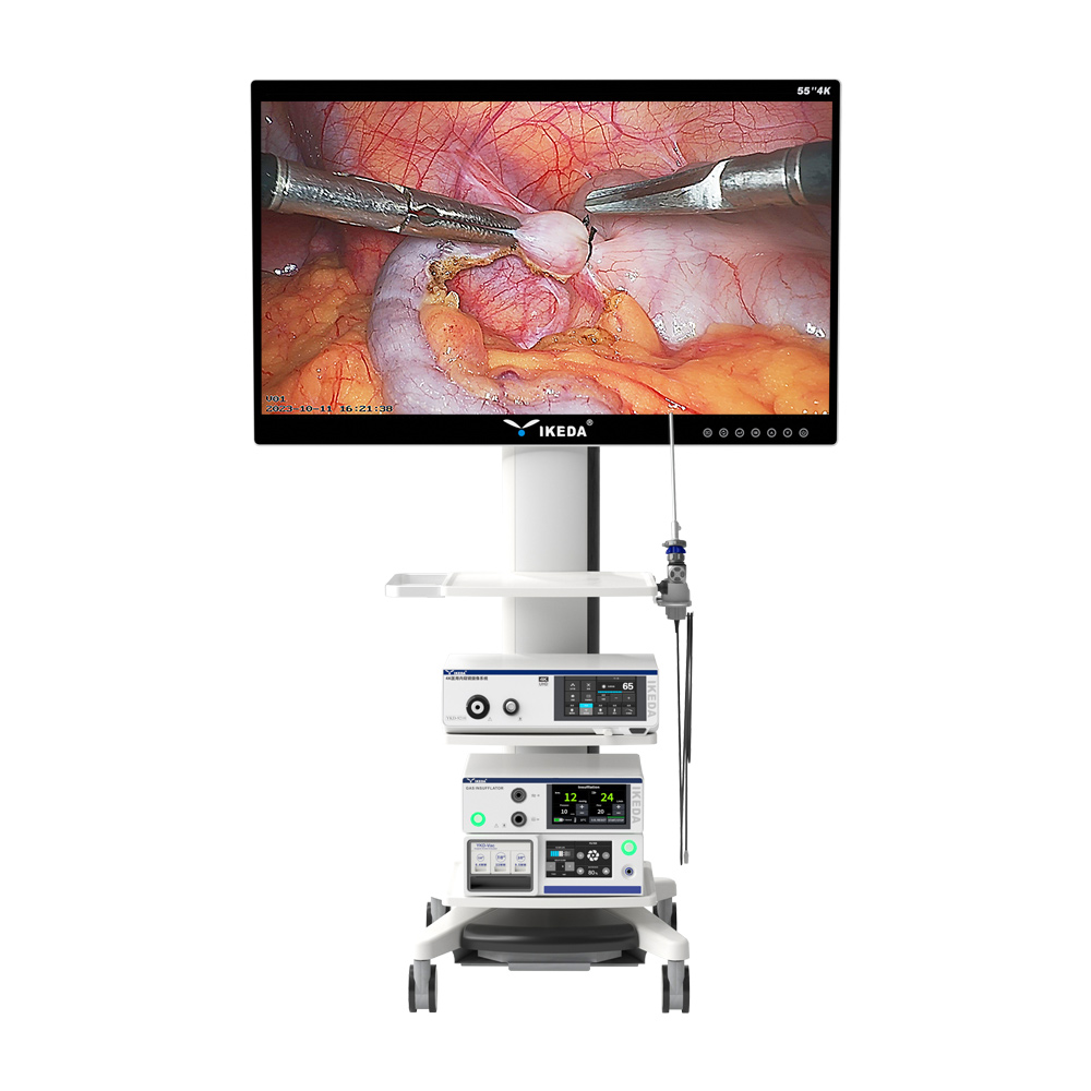 Système d'endoscopie chirurgicale 4K UHD