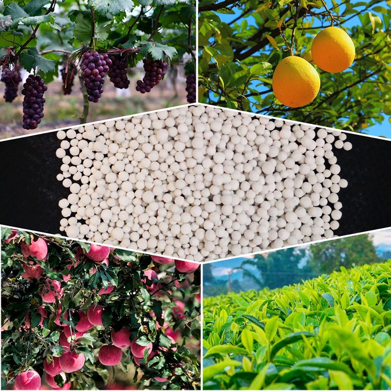 Acquista Fertilizzante granulare,Fertilizzante granulare prezzi,Fertilizzante granulare marche,Fertilizzante granulare Produttori,Fertilizzante granulare Citazioni,Fertilizzante granulare  l'azienda,