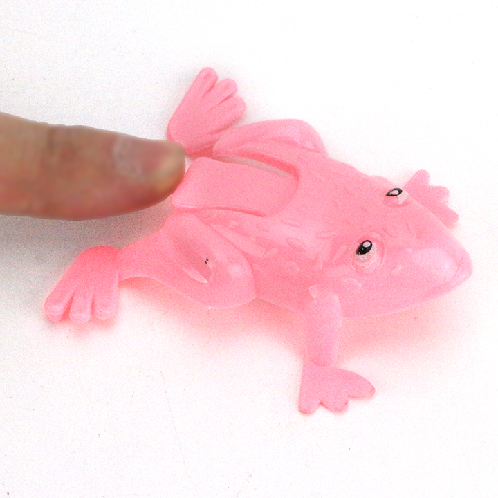 小物 Frog 71k305C-exL._AC_UF894,