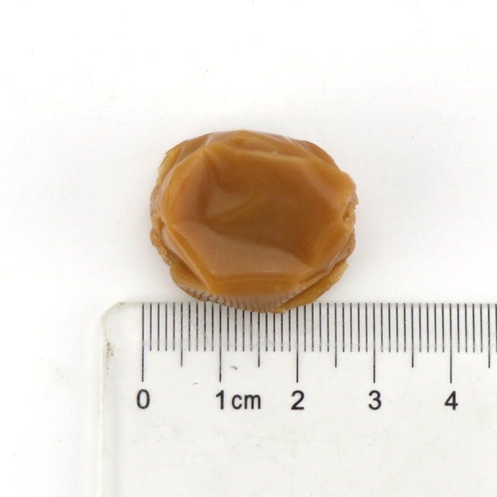 Supply Halal 500g toffee candy chocolate milk chewy soft candy CH