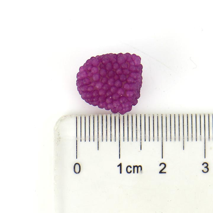 Halal mini pearl fruit flavored soft jelly pop candy CH-J534