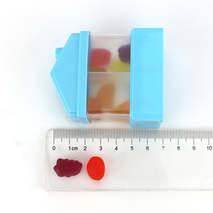 Wonderful Candy House with various fruit shape soft gummy candy CH-J448-1