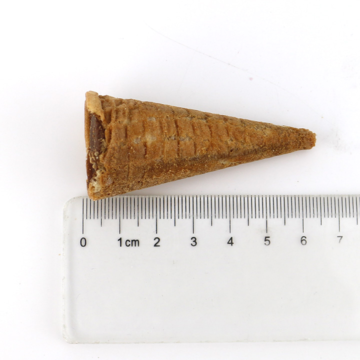 Chicken egg rolls cone biscuit with chocolate jam filling CH-BC124