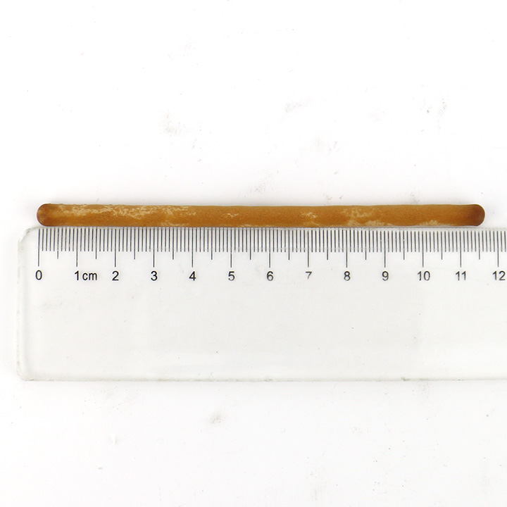 16g snacks milk,coffee flavored CC long biscuits finger cookies stick CH-D121