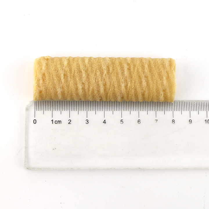 Crispy coconut pastries, meat floss flavor egg roll wafer biscuit CH-D127
