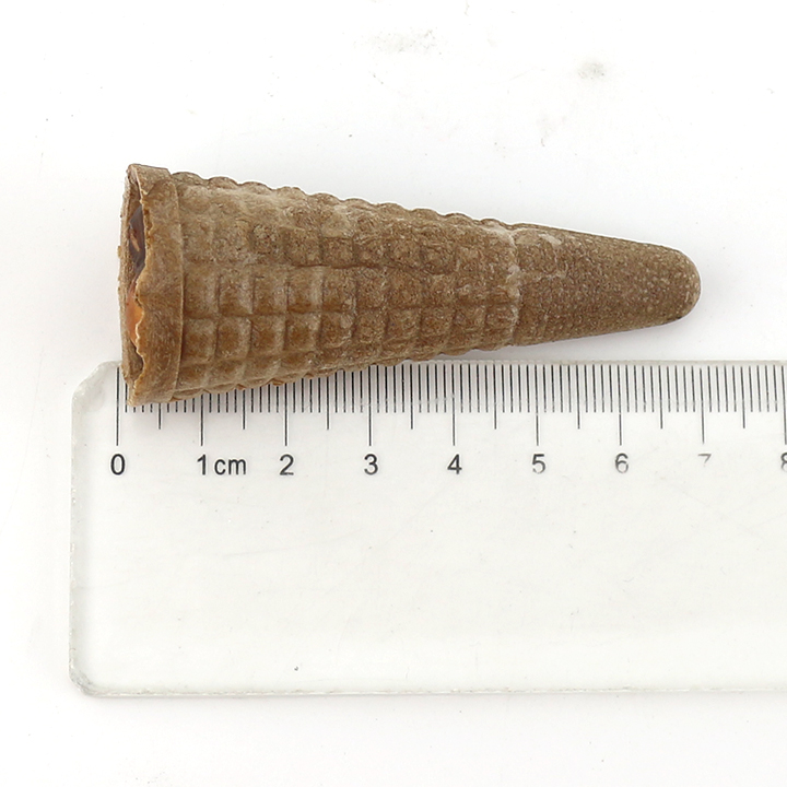 Halal Ice cream cone chocolate with biscuit ball CH-BC147