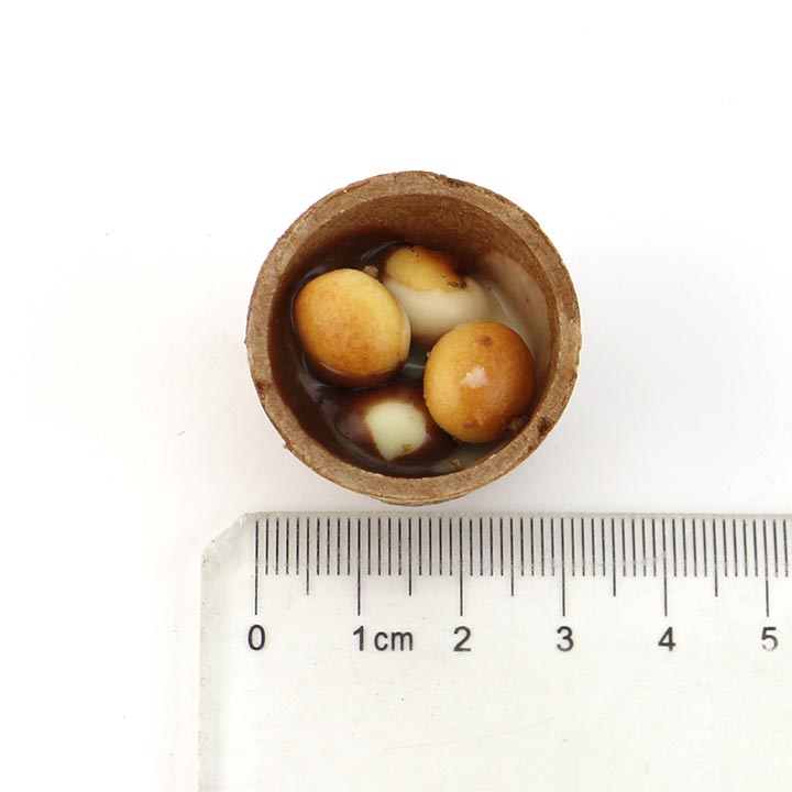 Mini Crispy chocolate wafer cup choco jam with biscuits balls CH-BC150