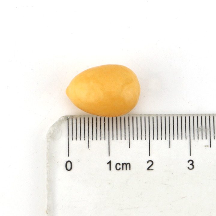 Mini Chicken Golden egg chewing bubble gum CH-E340