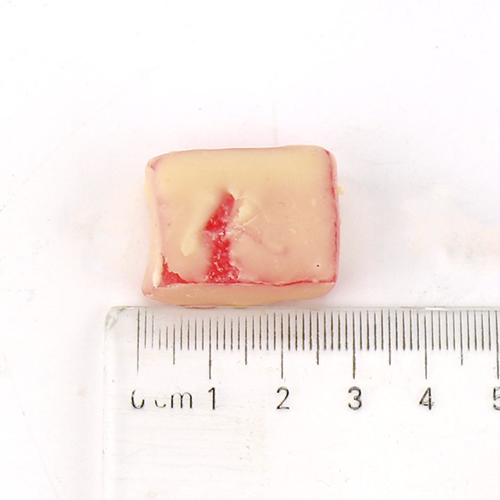 White chocolate coated fruit flavored cube jelly gummy candy CH-J692