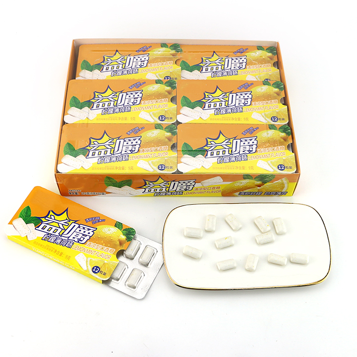 Halal Mixed Fruits flavored Chewing Bubble Gum Halal Mixed Fruits flavored Chewing Bubble Gum CH-E352