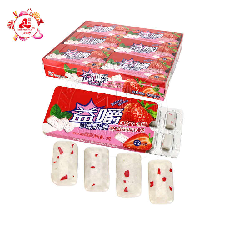 Halal Mixed Fruits flavored Chewing Bubble Gum Halal Mixed Fruits flavored Chewing Bubble Gum CH-E352