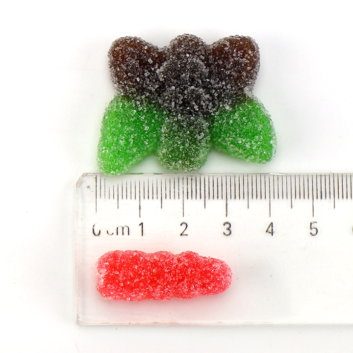 100g 2 in 1 Halal Butterfly Worm Gummy Insect Chewing Soft Candy CH-J701