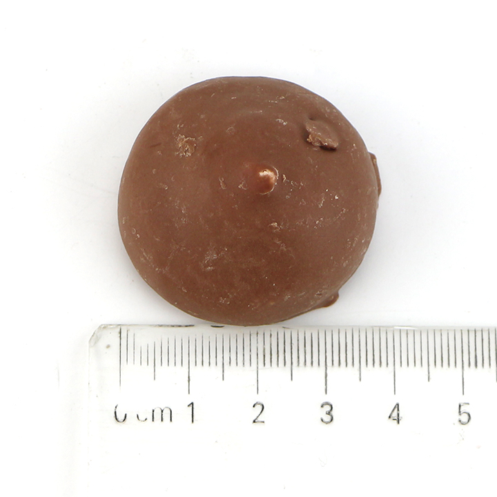 Halal strawberry, blueberry, chocolate in Dark chocolate-coated marshmallow with jam filling CH-M247