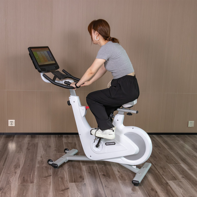 Professional Home Gym Workout Exercise Bikes For Sale