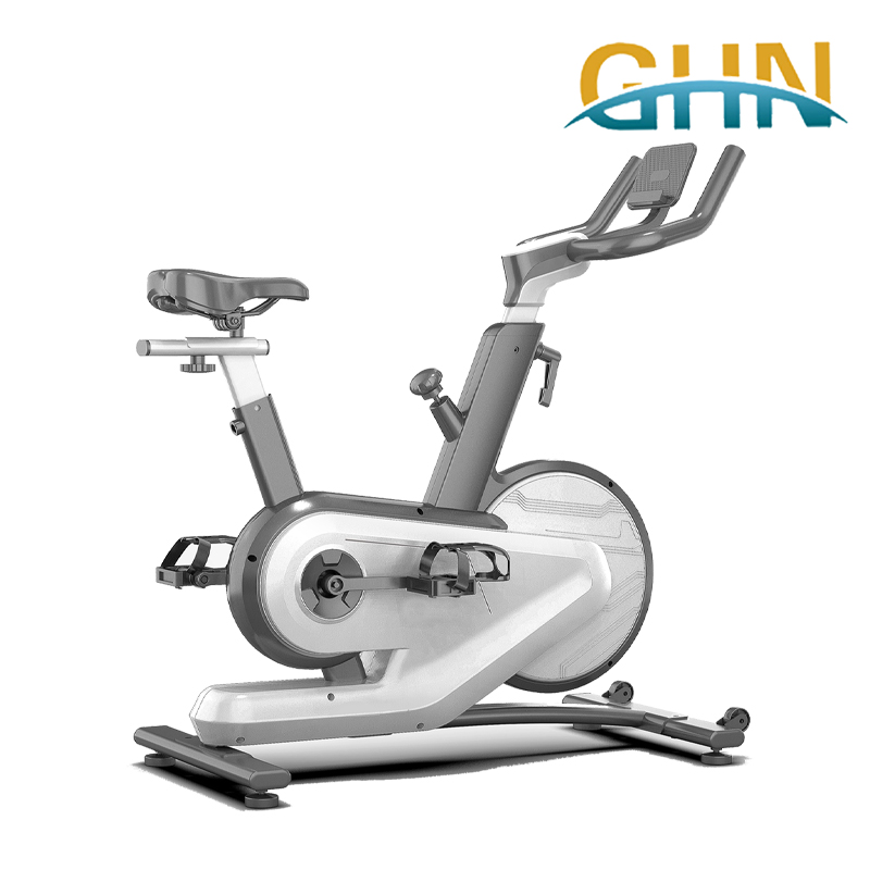 spin bike workout for home under 300