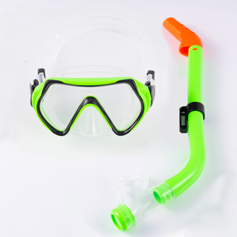 WHALE Kids Snorkel Set Snorkel Mask with Premium Dry Snorkel Set for Children 1011S