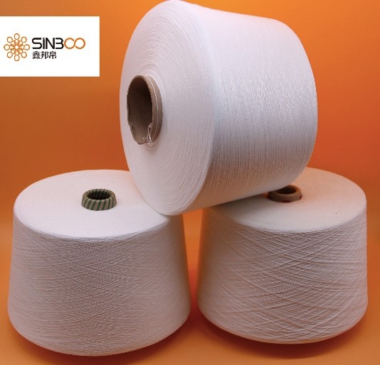 Polyester Spun Virgin Raw White Yarn 30/1