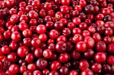 Kaufen Cranberry-Extrakt;Cranberry-Extrakt Preis;Cranberry-Extrakt Marken;Cranberry-Extrakt Hersteller;Cranberry-Extrakt Zitat;Cranberry-Extrakt Unternehmen