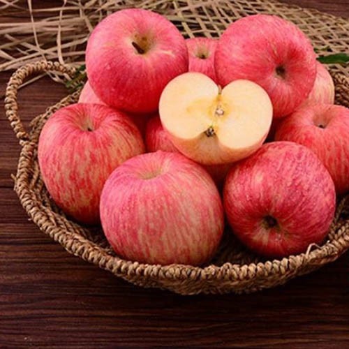 شراء مستخلص التفاح ,مستخلص التفاح الأسعار ·مستخلص التفاح العلامات التجارية ,مستخلص التفاح الصانع ,مستخلص التفاح اقتباس ·مستخلص التفاح الشركة