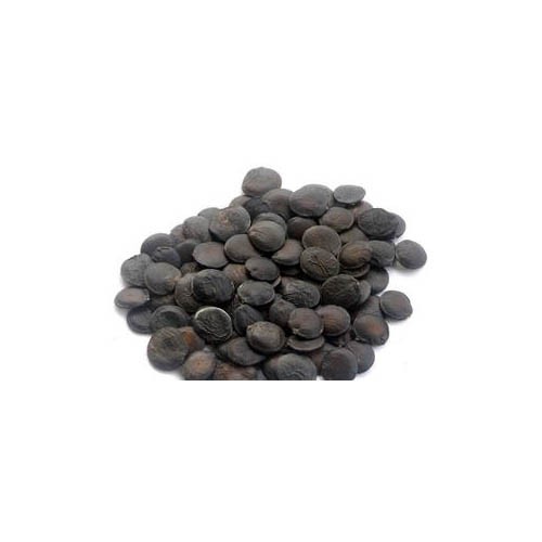 Griffonia Seed Extract