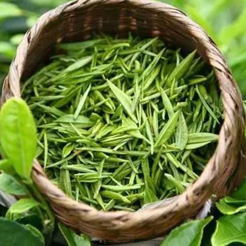 Китай Экстракт зеленого чая, производитель