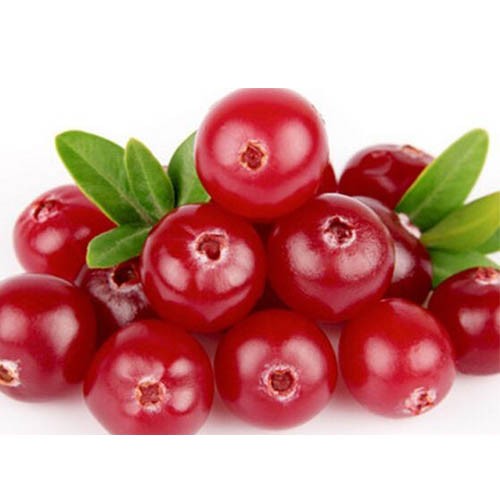 Kaufen Cranberry-Extrakt;Cranberry-Extrakt Preis;Cranberry-Extrakt Marken;Cranberry-Extrakt Hersteller;Cranberry-Extrakt Zitat;Cranberry-Extrakt Unternehmen