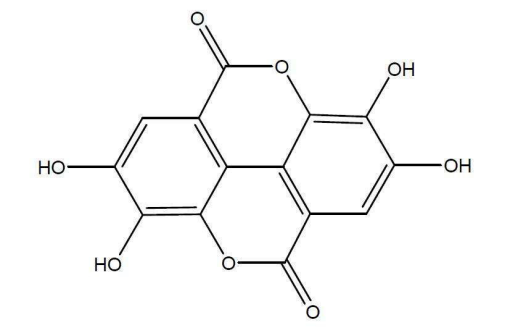 POMEGRANATE EXTRACT