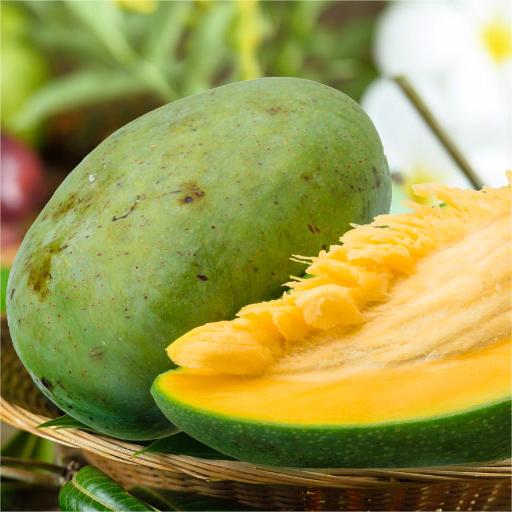 Китай Экстракт семян африканского манго, производитель