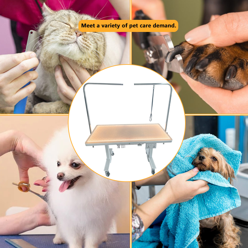Pet grooming salon hospital care heavy duty pet grooming table