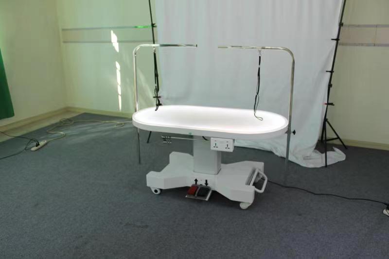 Pet grooming salon hospital care heavy duty pet grooming table with LED light