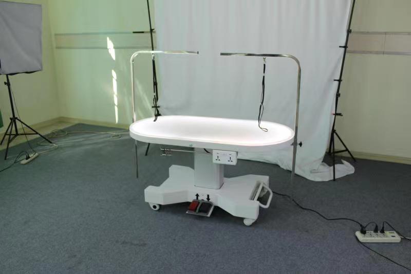 Pet grooming salon hospital care heavy duty pet grooming table with LED light