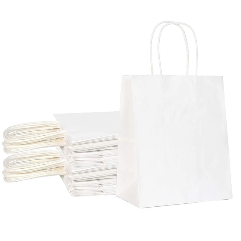 Custom Printed Paper Bags With Twisted Handles