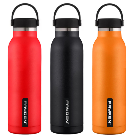 Borraccia da palestra a doppia parete da 500 ml