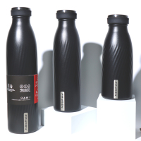 Stainless Steel BPA-Free Insulated Thermo Flask for Hot and Cold Beverages