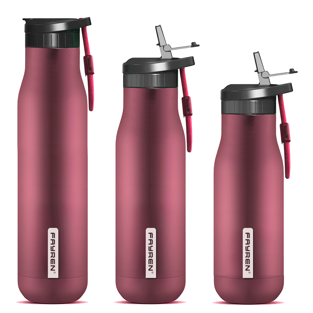 UV Self Cleaning Water Bottle