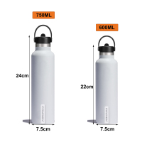 Travel Colorful Double Wall Water Bottle With Straw