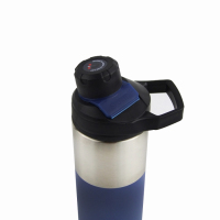 Insulated Stainless Steel Sports Water Bottle With Handle